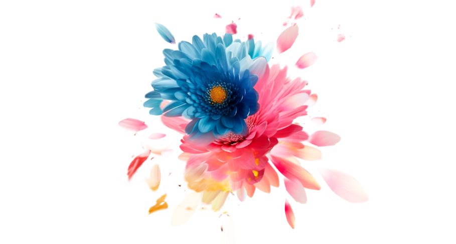 Что мы делаем